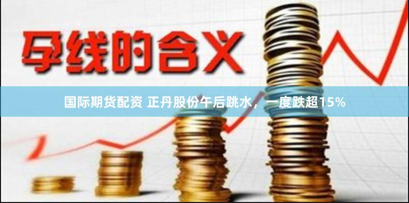 国际期货配资 正丹股份午后跳水，一度跌超15%