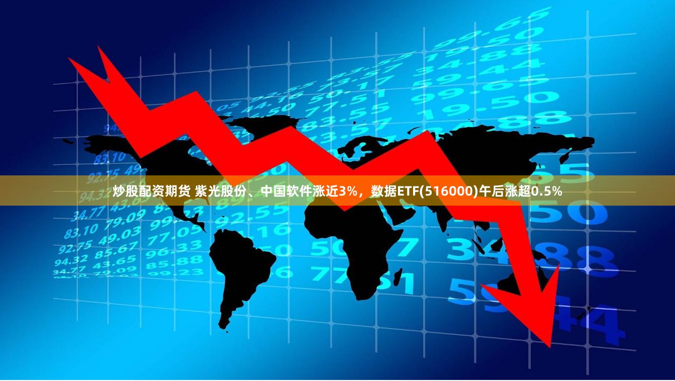 炒股配资期货 紫光股份、中国软件涨近3%，数据ETF(516000)午后涨超0.5%