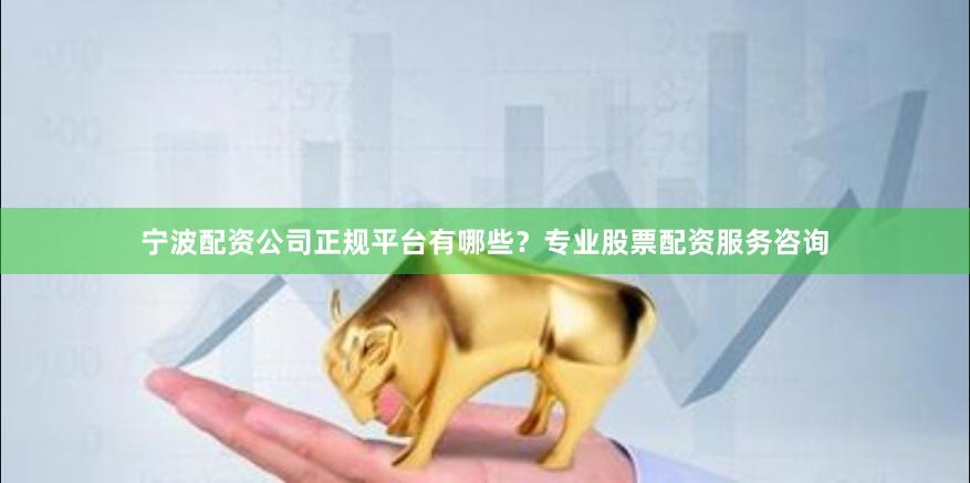 宁波配资公司正规平台有哪些?专业股票配资服务咨询